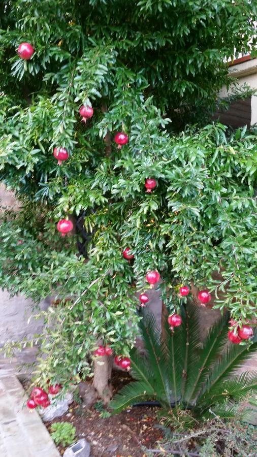 La Maison Jujube Morrovalle Eksteriør billede